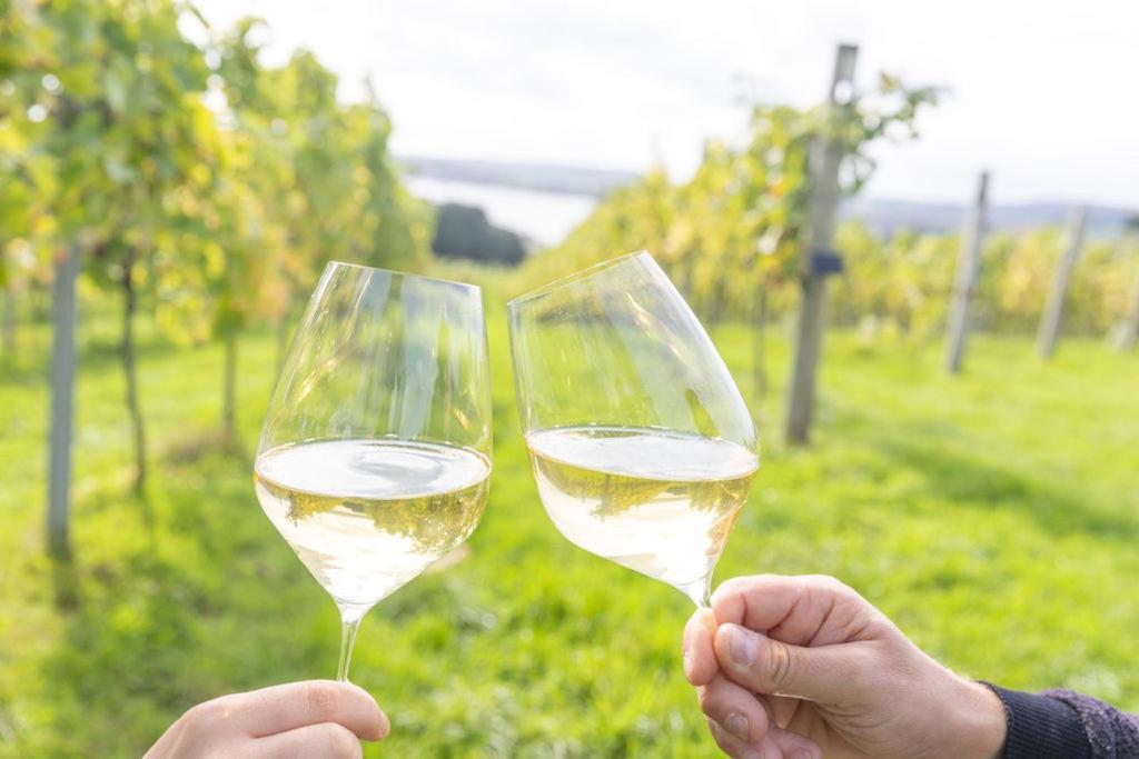 Lympstone Manor Hotel Restaurant & Vineyard - Relais & Chateaux Эксмут Экстерьер фото