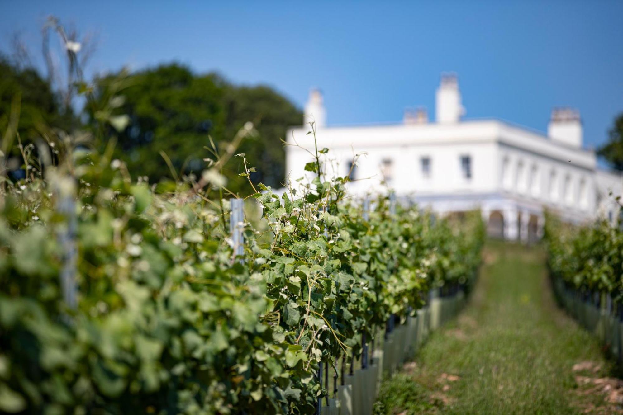 Lympstone Manor Hotel Restaurant & Vineyard - Relais & Chateaux Эксмут Экстерьер фото