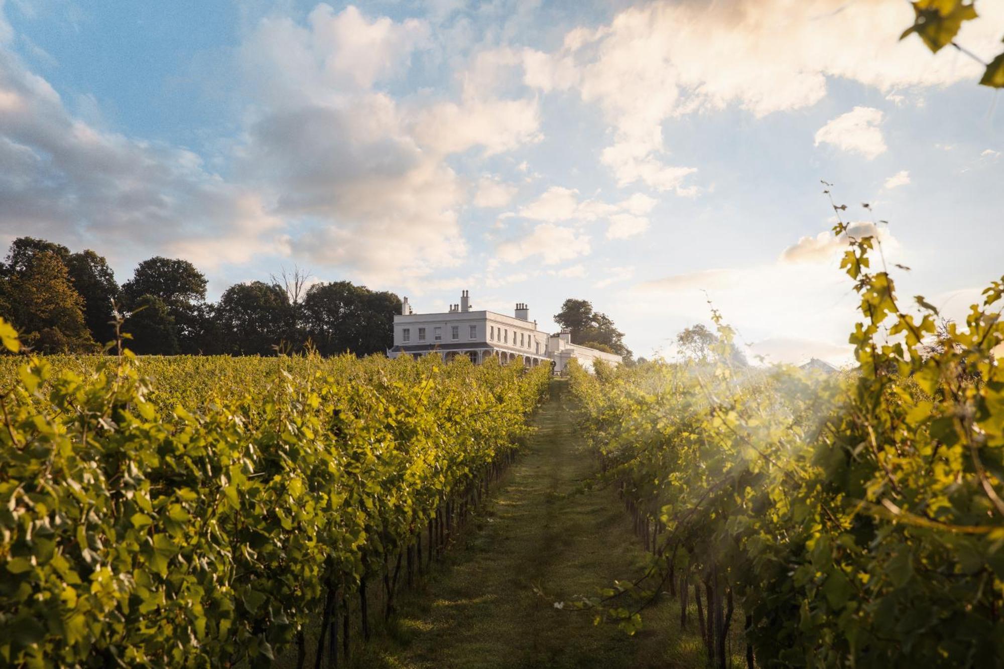 Lympstone Manor Hotel Restaurant & Vineyard - Relais & Chateaux Эксмут Экстерьер фото